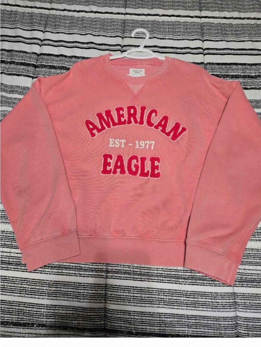 2 American Eagle Outfitters Crewnecks